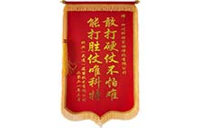 20210312大連科興錦旗